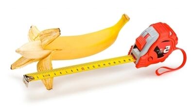 The average size of an erect penis is 13 to 16 cm