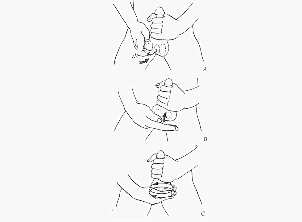 massage to enlarge the penis